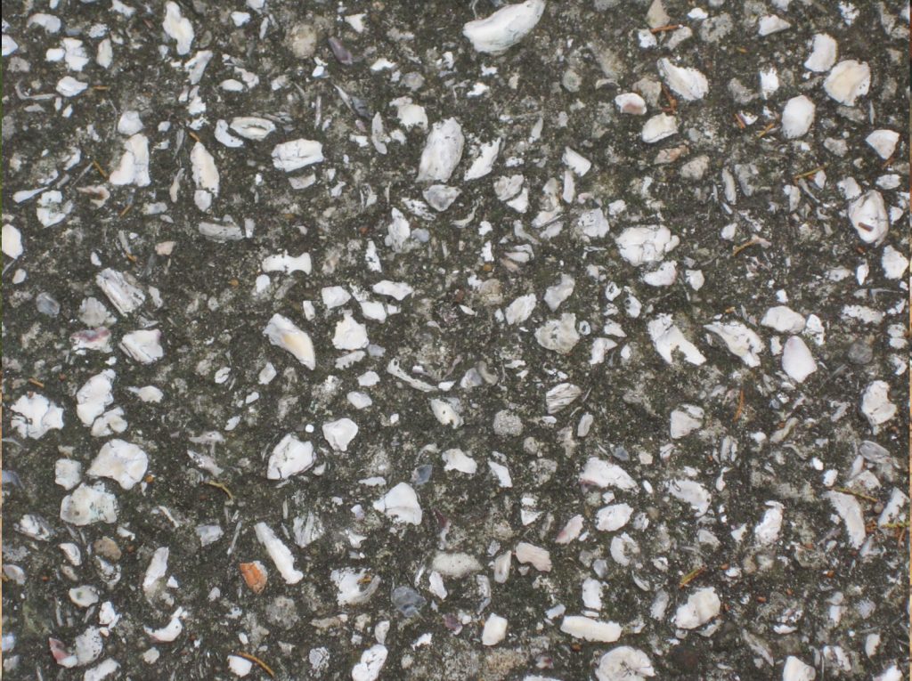 The Benefits of Using Oyster Shells in Concrete