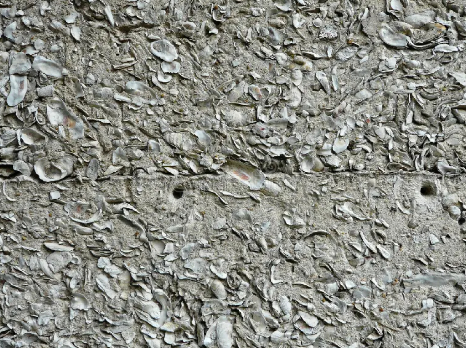 Oyster Shell Stucco