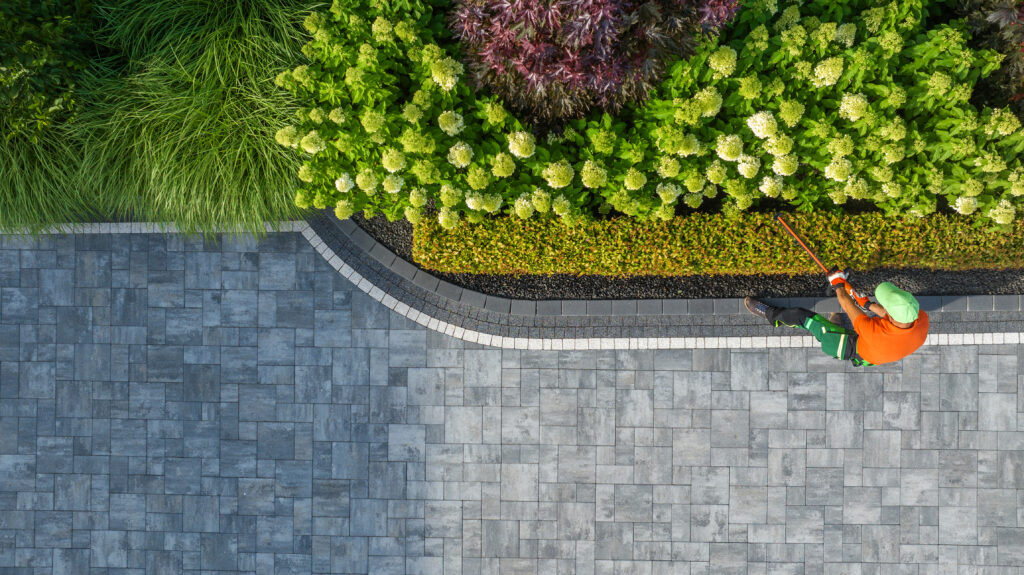 Pavers vs. Concrete: Which Hardscape Option Is Better?