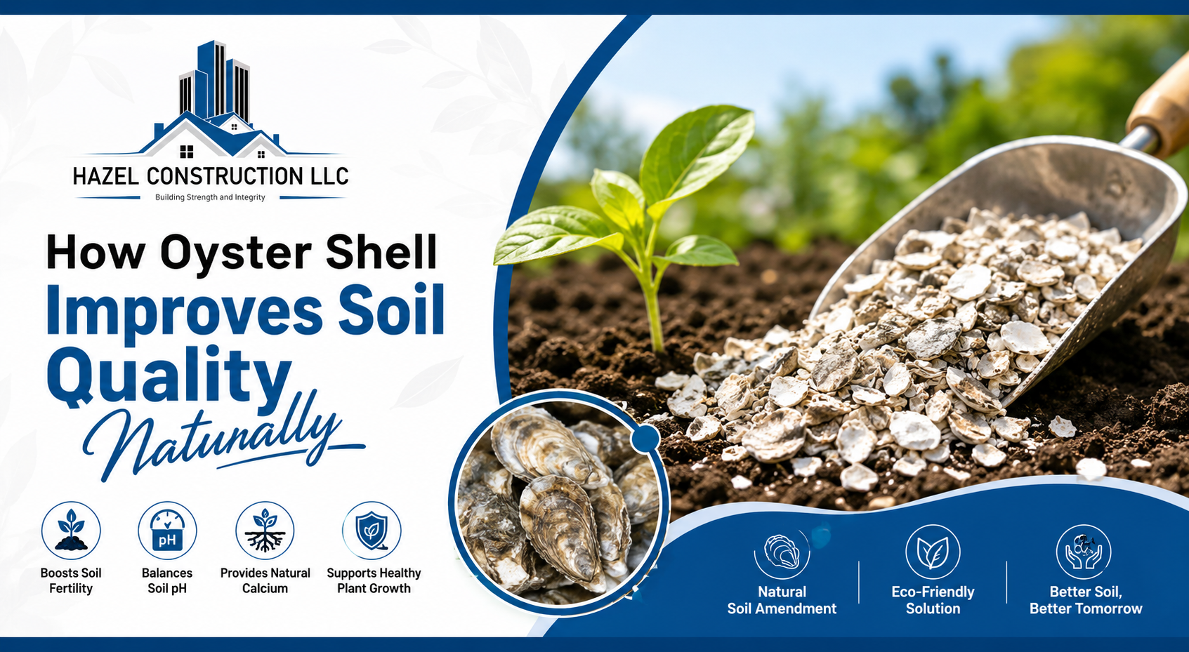 Oyster Shells